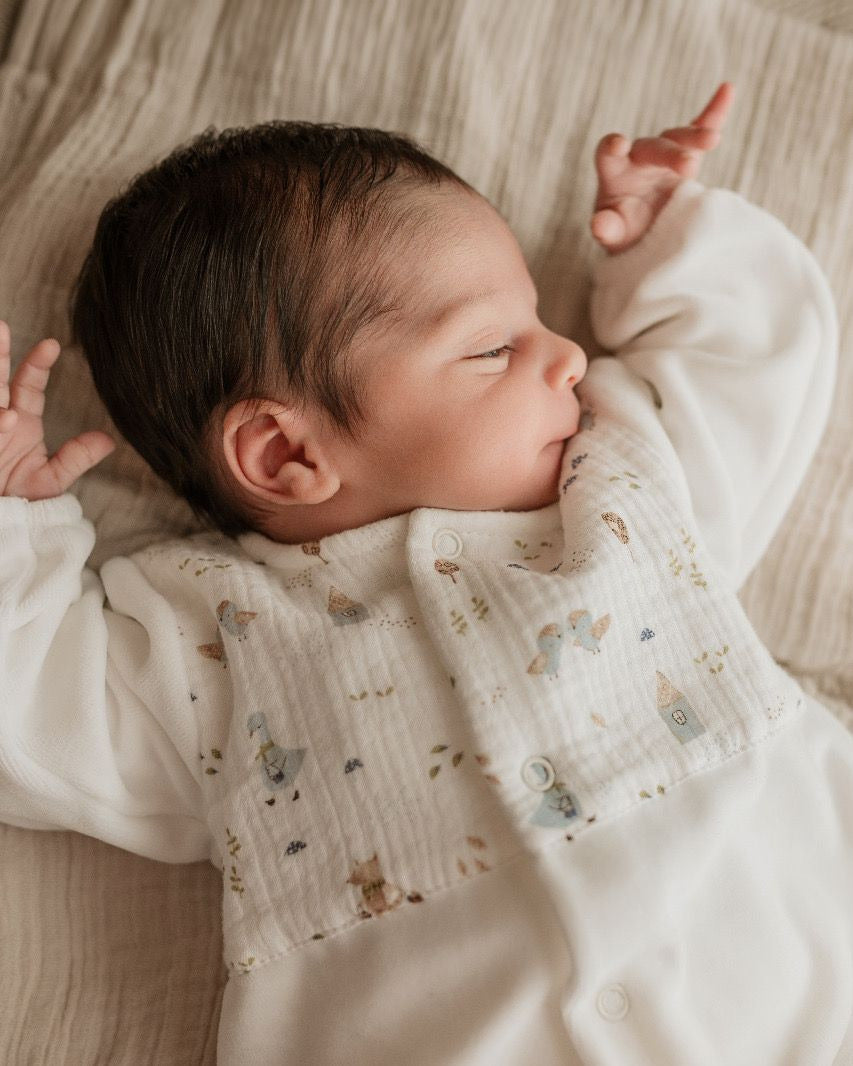Bebé com o babygrow creme de gansos e raposinhas